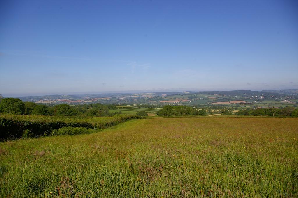 Wyke Farm Axminster Exterior foto