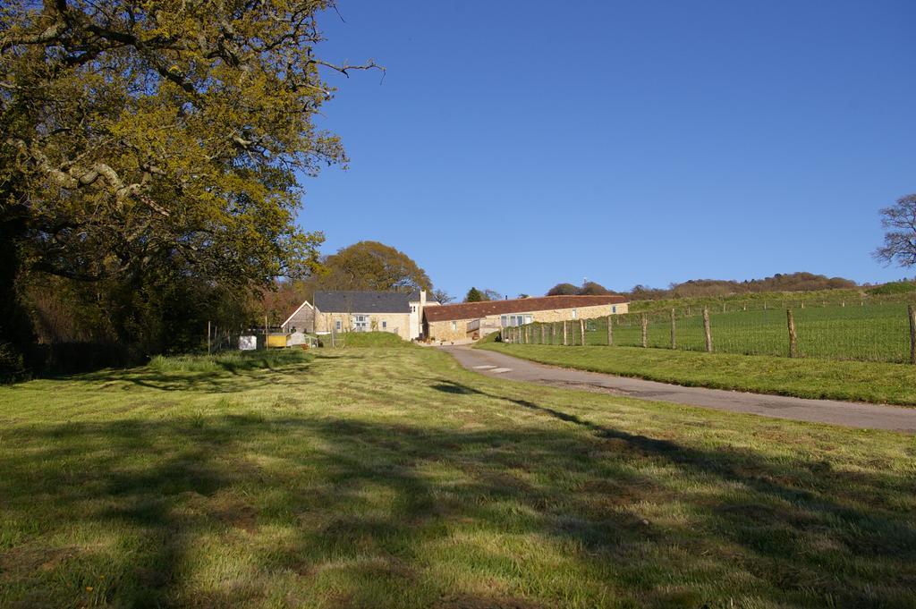 Wyke Farm Axminster Exterior foto
